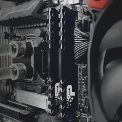 Память DDR4 16384Mb 3200MHz Patriot PSP416G3200KH1 Signature Line Premium