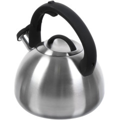 Чайник со свистком Daniks M-085, индукция, нерж., 2,7 л. (397662)