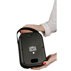 Акустика портативная MERELY MRL-J456 8 Вт.