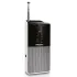 Радиоприемник PHILIPS AE1530/00 чёрно-серый