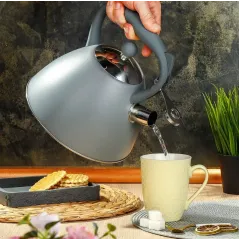 Чайник со свистком Daniks PR-2202, индукция, серый, 2,7 л.(429627)