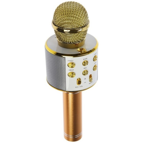 Микрофон вокальный Bluetooth Belsis MA3001GD