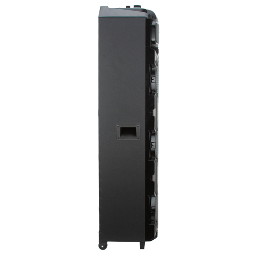 Акустика портативная ELTRONIC 30-17 CRAZY BOX