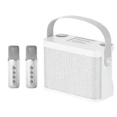 Караоке система DAIMAX YS-219