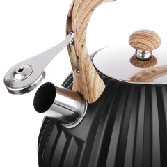 Чайник со свистком VETTA 