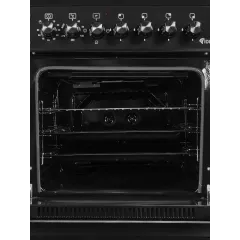 Газоэлектроплита IDEAL L 250 ГК черный (*11)