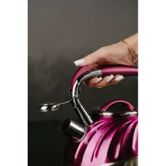 Чайник со свистком ASTIX SWK-520