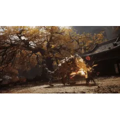 Игра PS5 Black Myth: Wukong (Русские субтитры)