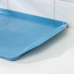 Поднос пластик «Дональд», прямоугольный, 44х32 см (БП227) (1306750)