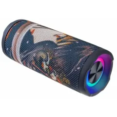 Акустика портативная PERFEO PF_D0330 