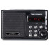 Радиоприемник PERFEO Sound Ranger PF-SV922 черный