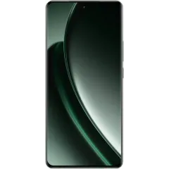 Сотовый телефон REALME GT6 5G 12/256Gb зеленый туман (*14)