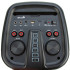 Акустика портативная ELTRONIC 20-52 WAVE 800