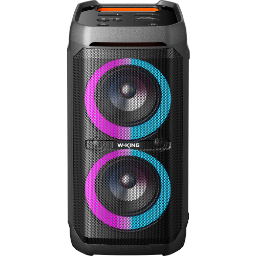 Акустика портативная W-King T11 Amazon черный (*9)