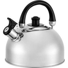 Чайник со свистком WEBBER BE-0528, 4.5 л.