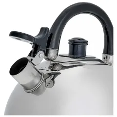 Чайник со свистком WEBBER BE-0526, нерж., 2.5 л.