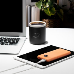 Повербанк 10000 мАч TFN-PB-257-LO