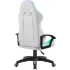 Кресло игровое Defender FACTOR X RGB экокожа белый