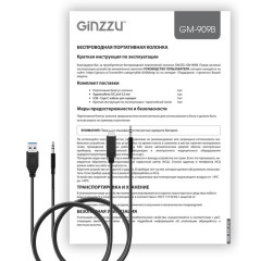 Акустика портативная GINZZU GM-909B