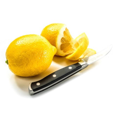 Нож кухонный TALLER, для чистки, изогнутый (22026)