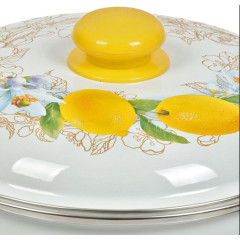 Кастрюля Сибирские товары, Лимоны, эмаль, индукция, 5,5 л., 3MC221P (414377)