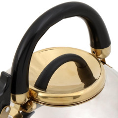 Чайник со свистком Daniks Мадрид Голд, M-001PM, нерж., индукция, 2,7 л. (378480)