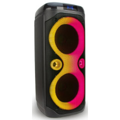 Акустика портативная ELTRONIC 20-52 WAVE 800