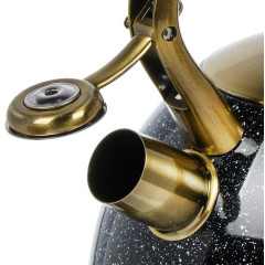 Чайник со свистком Daniks GS-04517G, индукция, нерж., черный, 3 л.(446895)