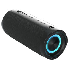 Акустика портативная PERFEO PF_D0339 