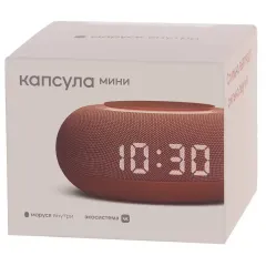 Умная колонка VK Капсула Мини терракотовый (*10)