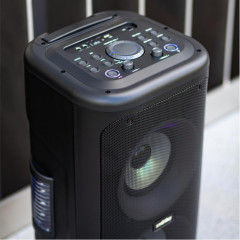 Акустика портативная SMARTBUY SBS-5350 MY DISCO