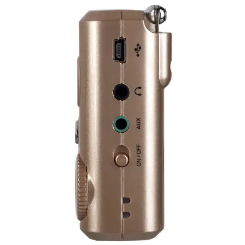 Радиоприемник PERFEO Sound Ranger PF-SV922 золотой