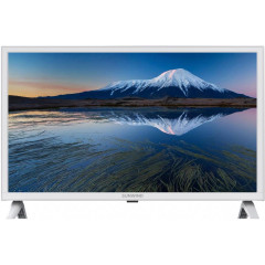 TV LCD 24" SUNWIND SUN-LED24XB205 белый