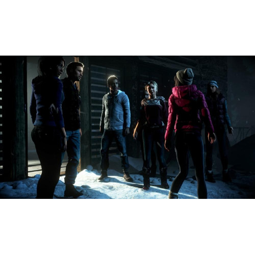 Игра PS4 Дожить до рассвета (Русская версия)