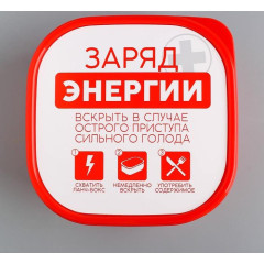 Ланч-бокс FoodVibes «Заряд энергии», 700 мл (4569089)