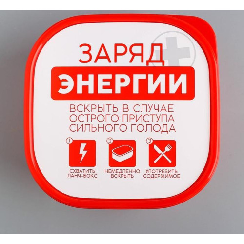 Ланч-бокс FoodVibes «Заряд энергии», 700 мл (4569089)