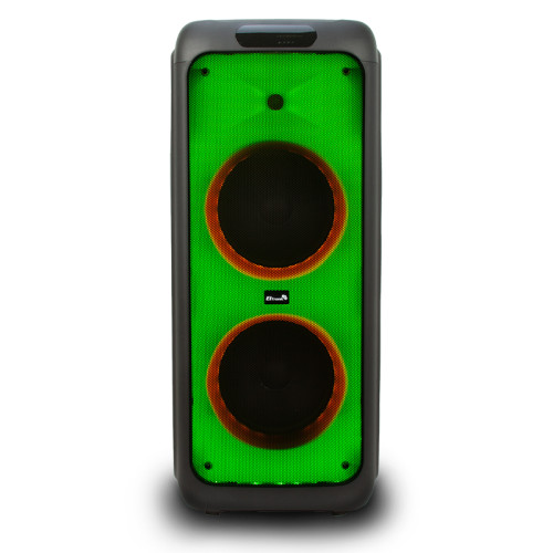 Акустика портативная ELTRONIC 20-03 WAVE 800