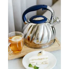 Чайник со свистком ASTIX SWK-350, нерж/синий, 2,7 л.