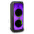 Акустика портативная ELTRONIC 20-03 WAVE 800