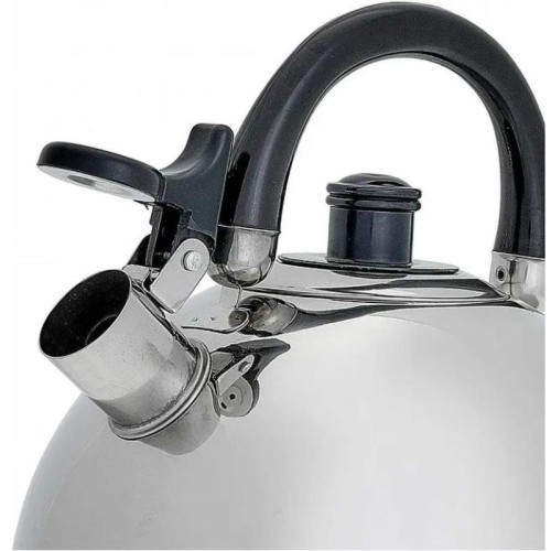 Чайник со свистком WEBBER BE-0528, 4.5 л.