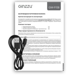Акустика портативная GINZZU GM-915B
