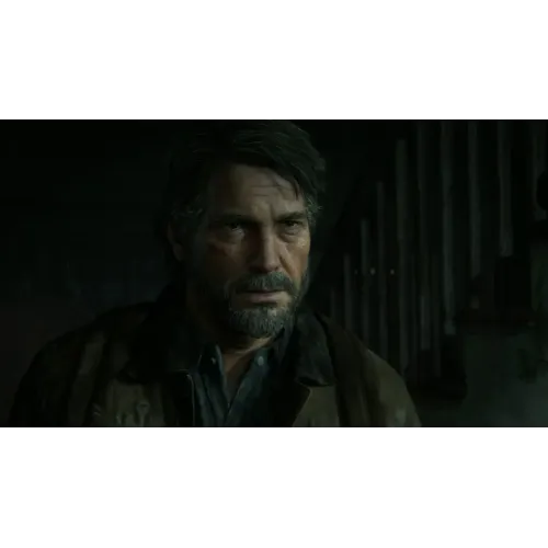 Игра PS4 Одни из нас: Часть 2 (The Last of Us: Part 2)(Русская версия)