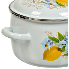 Кастрюля Сибирские товары, Лимоны, эмаль, индукция, 5,5 л., 3MC221P (414377)
