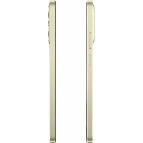 Сотовый телефон REALME C61 8/256Gb Gold