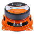 Колонки 4" DL Audio Barracuda 100