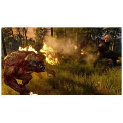 Игра PS5 Ведьмак 3: Дикая Охота