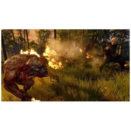Игра PS5 Ведьмак 3: Дикая Охота