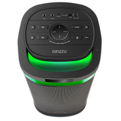 Акустика портативная GINZZU GM-226 