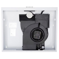 Воздухоочиститель OASIS PO-60W (*7)