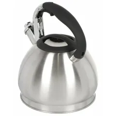 Чайник со свистком Daniks GS-04511, нерж., 3 л.